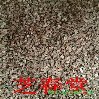 产地大货 中药材批发蛇床子 无硫蛇床仁 干净无杂药材齐全图3