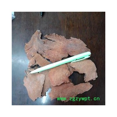 红萆薢   产地 四川省凉山彝族自治州会理县