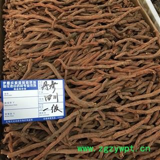 川丹参 紫丹参 一级 产地 四川省德阳市中江县图3