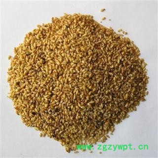 柏子仁 统 产地 山东省  批发各种中药材 花茶 矿石图2