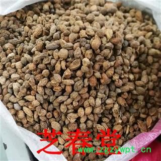 益智仁中药材香料大全散装优质大货调料益智仁批发零售品质保证图4