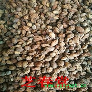 益智仁中药材香料大全散装优质大货调料益智仁批发零售品质保证图2