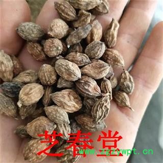 益智仁中药材香料大全散装优质大货调料益智仁批发零售品质保证图3
