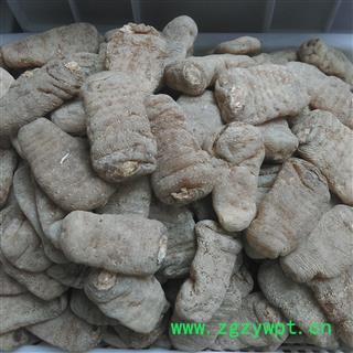 天麻 摆盘天麻 特级70克左右一个 产地 陕西省汉中市佛坪县图2