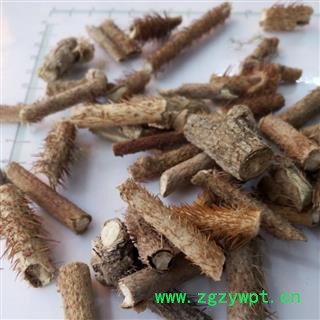 新辉药业刺五加 红毛刺五加图3