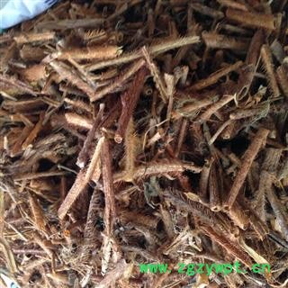 新辉药业刺五加 红毛刺五加图2