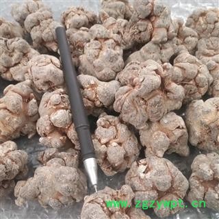 新辉药业优质文山春三七 水洗滑头 无剪口图2