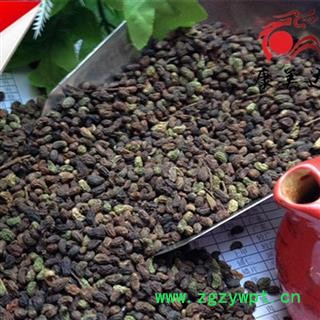 女贞子 选 产地 四川省德阳市罗江县图2