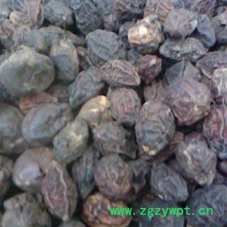 凯捷中药 诃子 统货 产地 青海省果洛藏族自治州甘德县图2