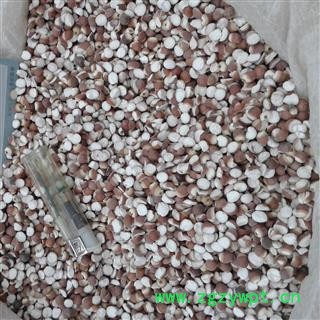 芡实 两瓣芡实（11-12厘） 产地 广东省图3