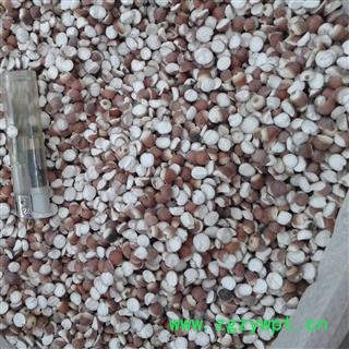 芡实 两瓣芡实（11-12厘） 产地 广东省图2