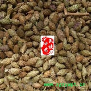 苍耳子 老苍子 毛苍子 苍耳仁 统货 凯捷中药  产地 内蒙古自治区鄂尔多斯市达拉特旗图2