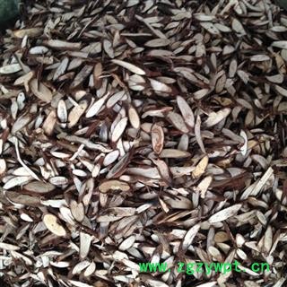 新辉药业中药材千斤拔 牛大力 一条根图3