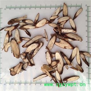 新辉药业中药材千斤拔 牛大力 一条根图2