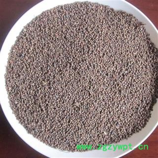 凯捷中药 急性子 统货 产地 安徽省黄山市休宁县图2