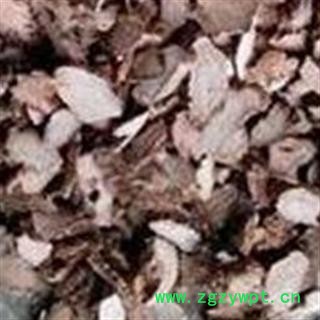 水菖蒲 统 产地 四川省 国药堂 专注品质图2