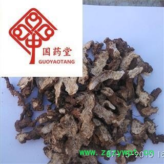 苍术 内蒙苍术 净货 好统货 产地 辽宁省 国药堂 专注品质图2