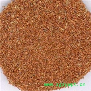 葶苈子 葶苈子净货 产地 河北省图2