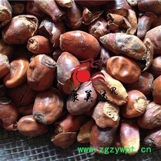 荔枝核 统货 产地 广西壮族自治区 凯捷中药图2