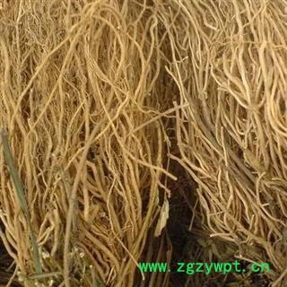 徐长卿 纯根 产地 山东省淄博市 国药堂 专注品质图3