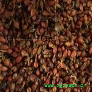 栀子 选货 产地 江西 库存 5000公斤可售图2