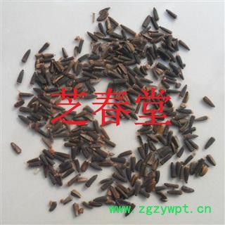 芝春堂 驱虫斑鸠菊 除虫斑鸠菊 正品 别称 印度山茴香 艾特日拉力图2