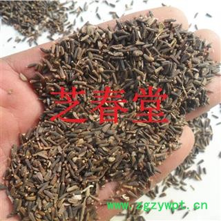 芝春堂 驱虫斑鸠菊 除虫斑鸠菊 正品 别称 印度山茴香 艾特日拉力图3
