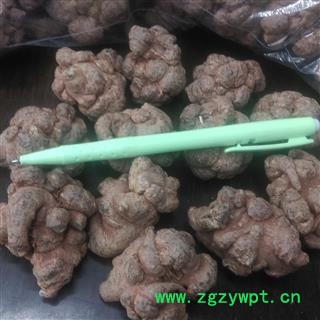 三七 20头 24-25个 2020 云南省壮族苗族自治州文山县图2