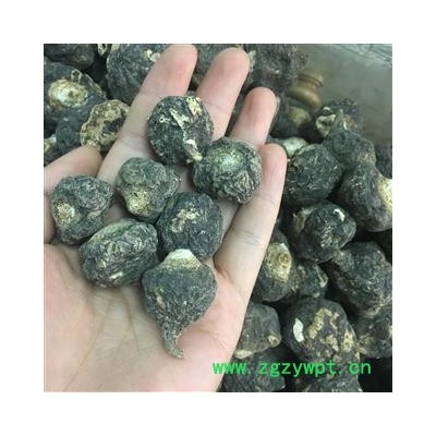 玛咖 秘鲁进口 产地 海外