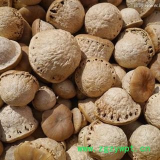 优质风流果大个 壮阳果 龟头子 质量好 价格低 产地直销 产地 广西壮族自治区图2