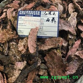 2020新货 西藏大花红景天  片 产地 西藏自治区林芝地区朗县图2