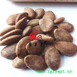 瓜蒌仁 统货 产地 河北省 凯捷中药图3