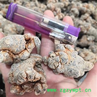 新辉药业三七 20头水洗不打蜡图2