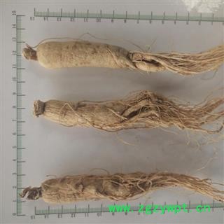 新辉药业东北人参 白参 低残参图2