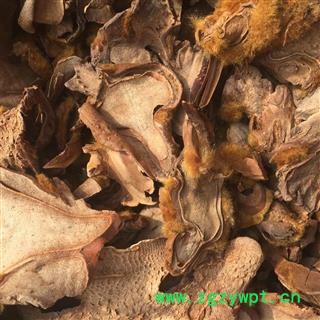 新辉药业中药材金毛狗脊 狗脊图2