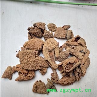 荔枝核 荔枝壳 荔枝皮  产地 广西壮族自治区图2