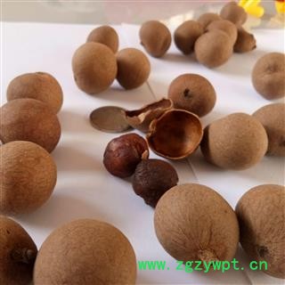 龙眼肉 AAAA级桂圆干 桂元  产地 广西壮族自治区图3