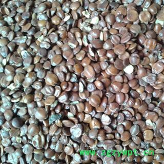 酸枣仁 统货 产地 海外图3