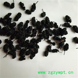 桑葚子 桑椹小选货 可食用 产地 四川省 凯捷中药图2