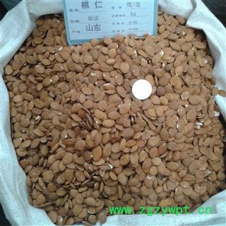 桃仁 家桃仁 产地 山西省图2