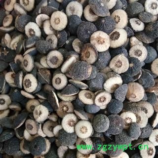 枳实 江西湖南枳实对瓣 产地 湖南省图2