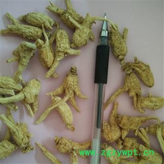 西洋参 加拿大1.5克开叉参 产地 海外 国药堂 专注品质图2