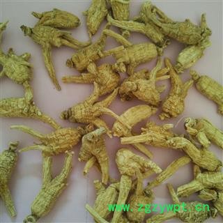 西洋参 加拿大1.5克开叉参 产地 海外 国药堂 专注品质图3