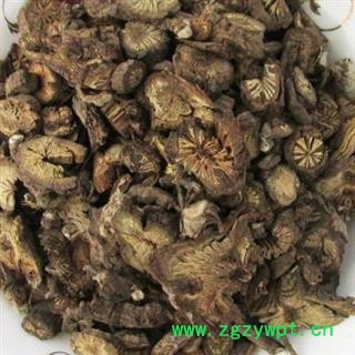 漏芦 漏芦统片 产地 黑龙江省 国药堂 专注品质图2