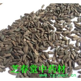 中药材 牛蒡子 大力子 干净无杂质牛子 常年大量现货图2