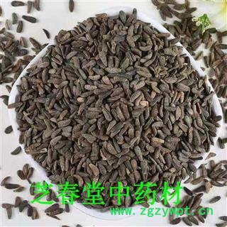 中药材 牛蒡子 大力子 干净无杂质牛子 常年大量现货图3