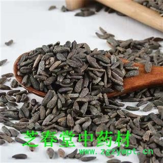 中药材 牛蒡子 大力子 干净无杂质牛子 常年大量现货图4