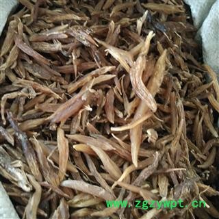 天冬 野生小天冬统货 产地 广西壮族自治区 国药堂 专注品质图2