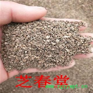 无硫地肤子 中药材批发地肤子 纯净货产地现货供应子籽类大全 代磨粉图2