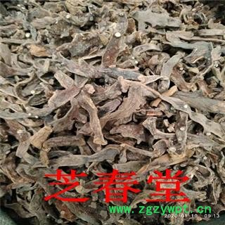 中药材批发 散装毛姜 骨碎补优质新货 量大从优图3